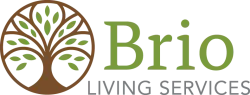 Brio Living Services